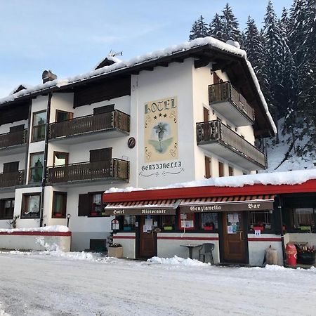 Hotel Genzianella Presenaio Eksteriør billede
